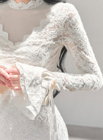 French-style Long-sleeved Lace Mesh Dress DIA0662