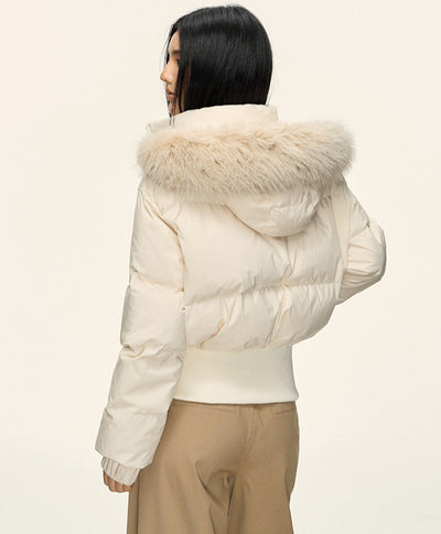 Fur Collar Hooded Short Down Jacket ANA0092