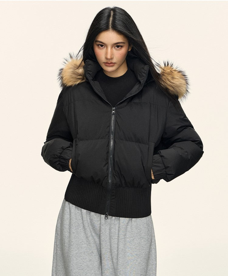 Fur Collar Hooded Short Down Jacket ANA0092