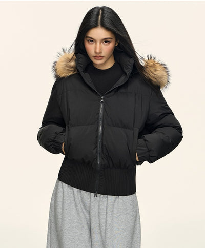 Fur Collar Hooded Short Down Jacket ANA0092