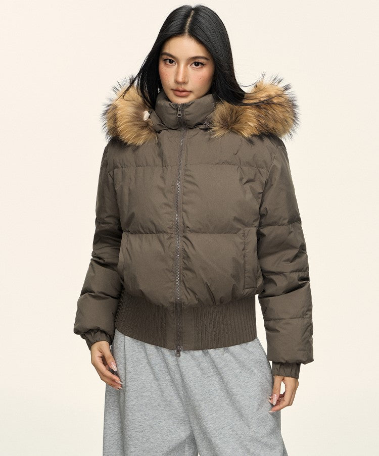 Fur Collar Hooded Short Down Jacket ANA0092