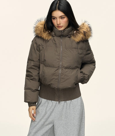 Fur Collar Hooded Short Down Jacket ANA0092