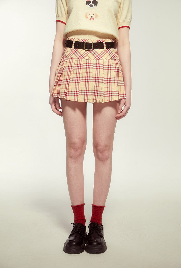 College Style High Waist Slimming Plaid Pleated A-Line Skirt TIP0016