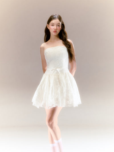 White Lace Swan Ballet Tube Top Style Tutu Dress REC0047