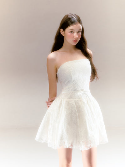 White Lace Swan Ballet Tube Top Style Tutu Dress REC0047